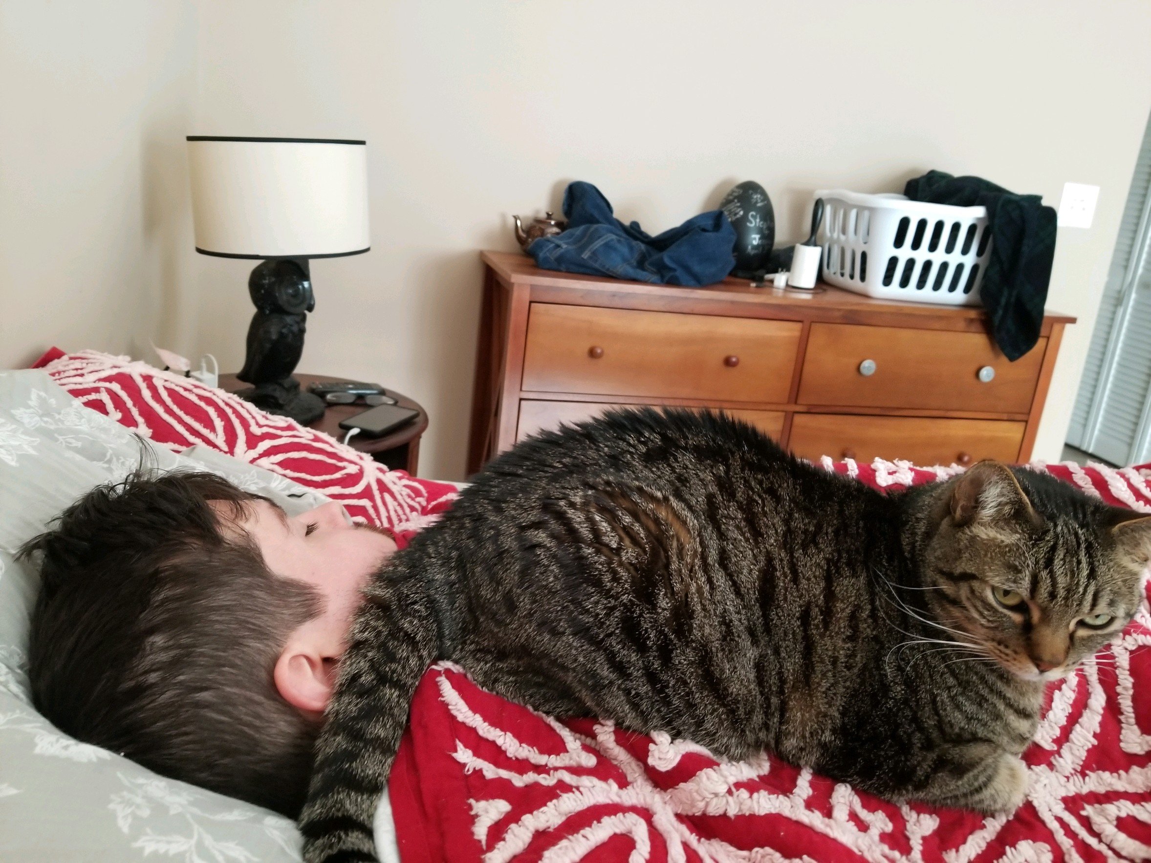 My cat likes to sleep on me, but at some point turns ...