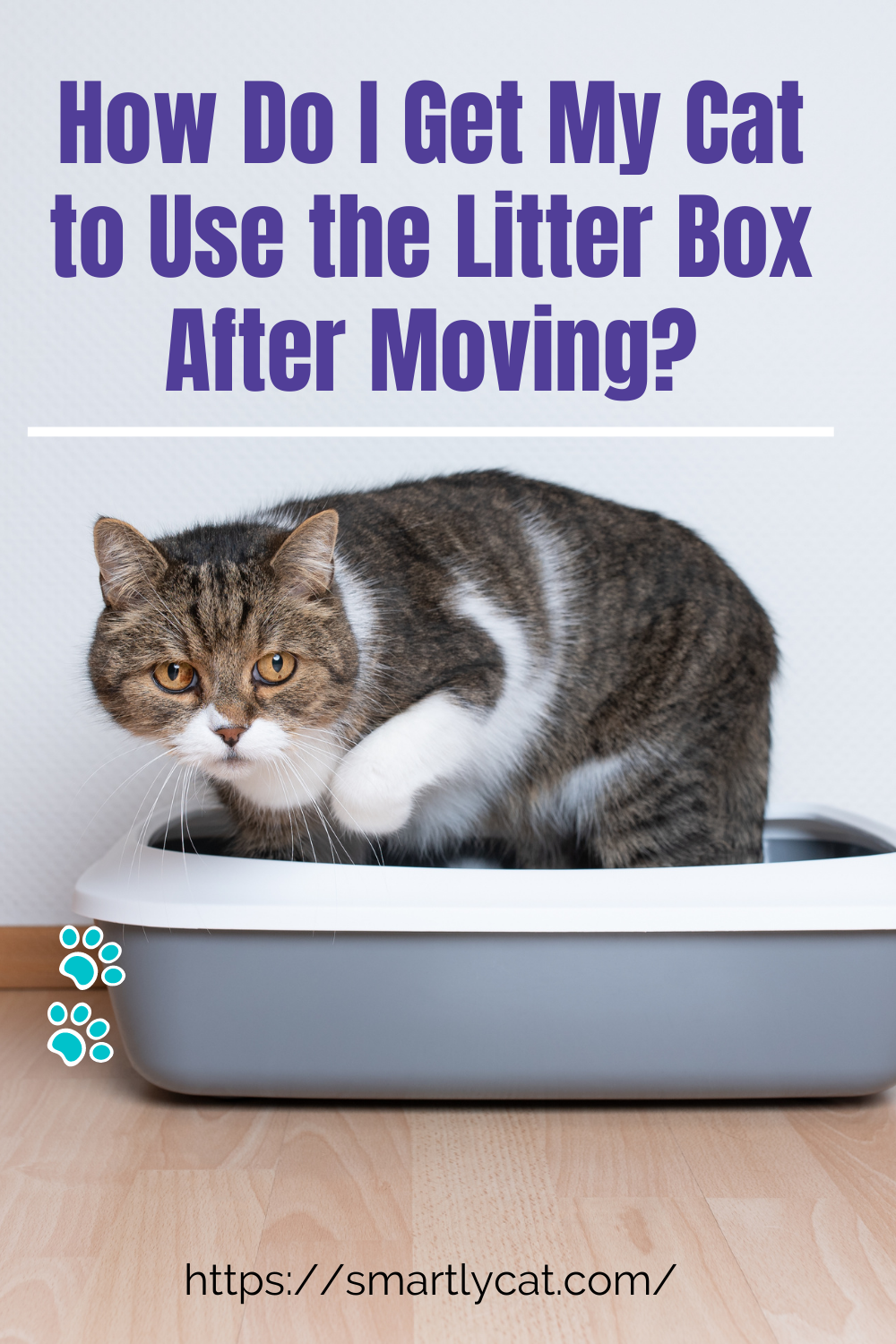 Pin on Cat Litter Box