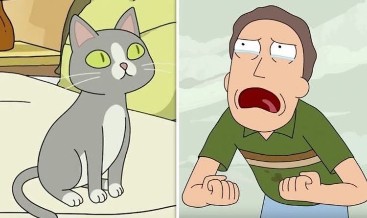 Rick and Morty recap: What did the cat do? Biggest ...