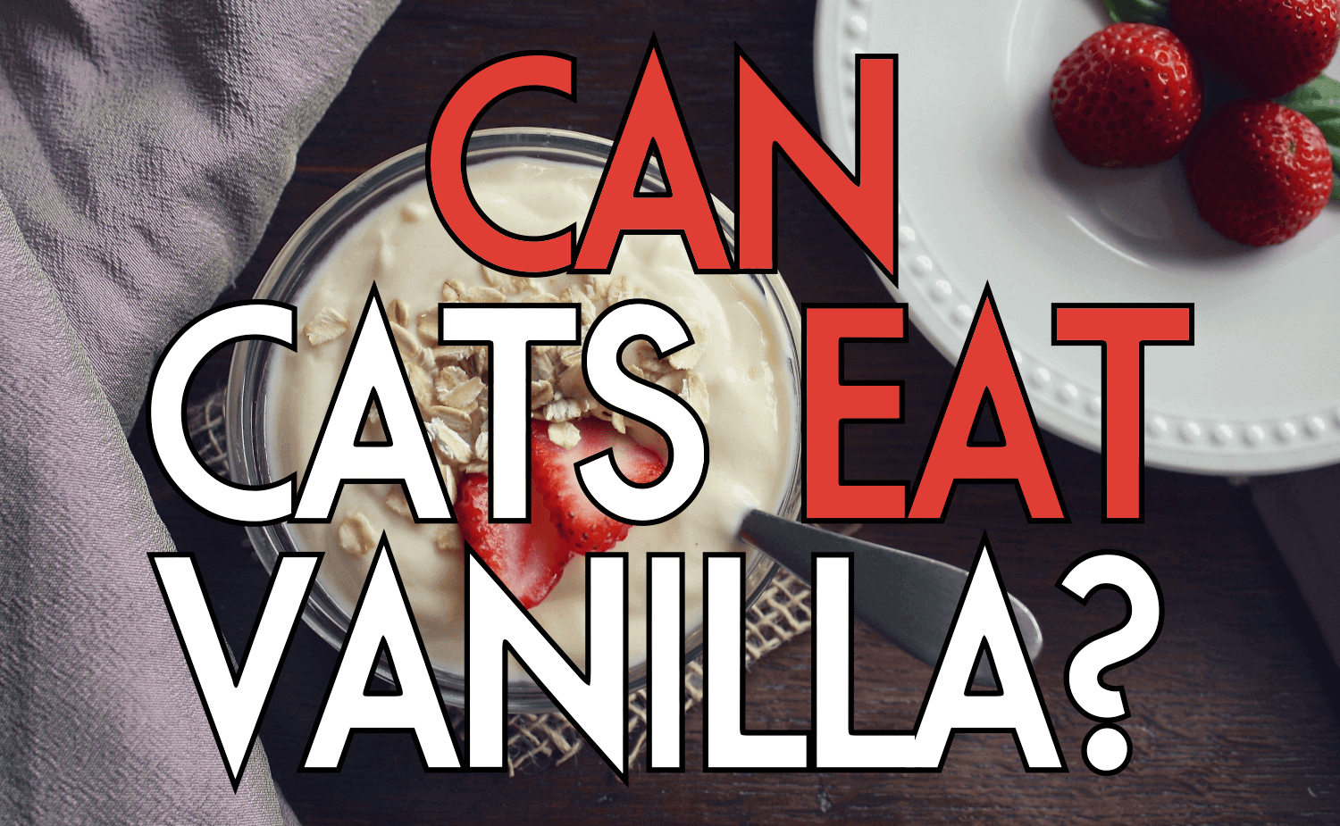 Can Cats Eat Vanilla?