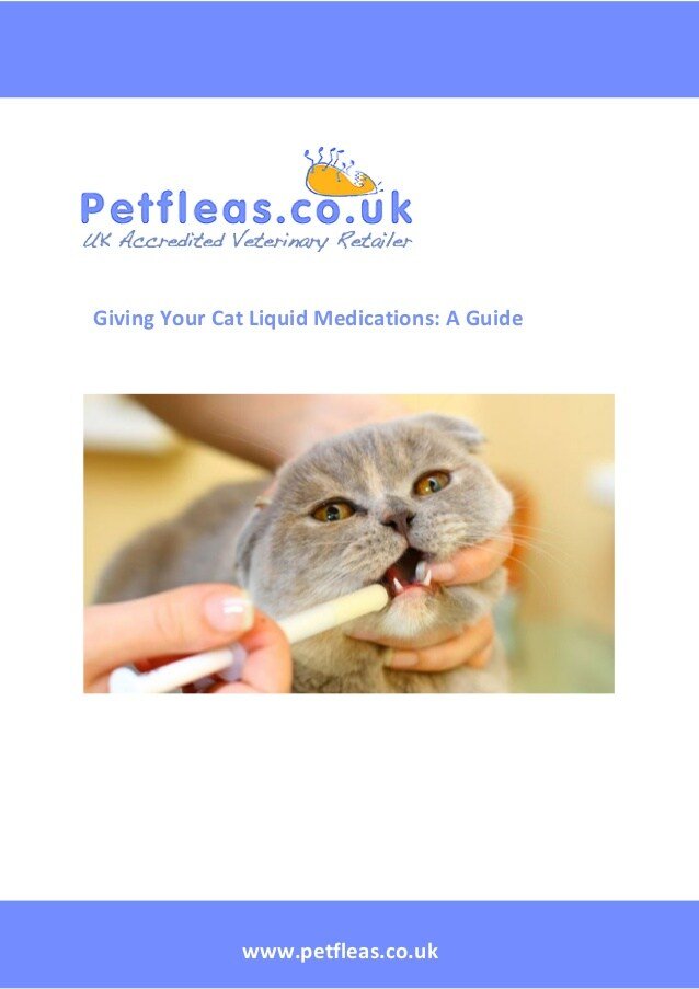 Giving your cat liquid medications a guide