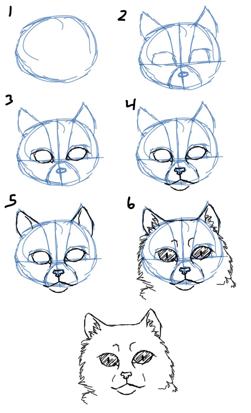 Savanna Williams: How to Draw Cats