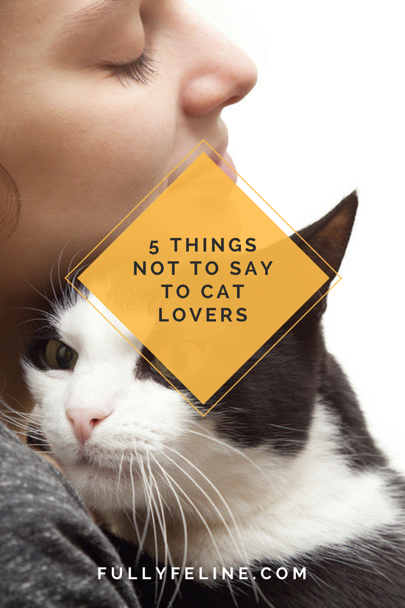 Warning: 5 Things NOT To Say To Cat Owners