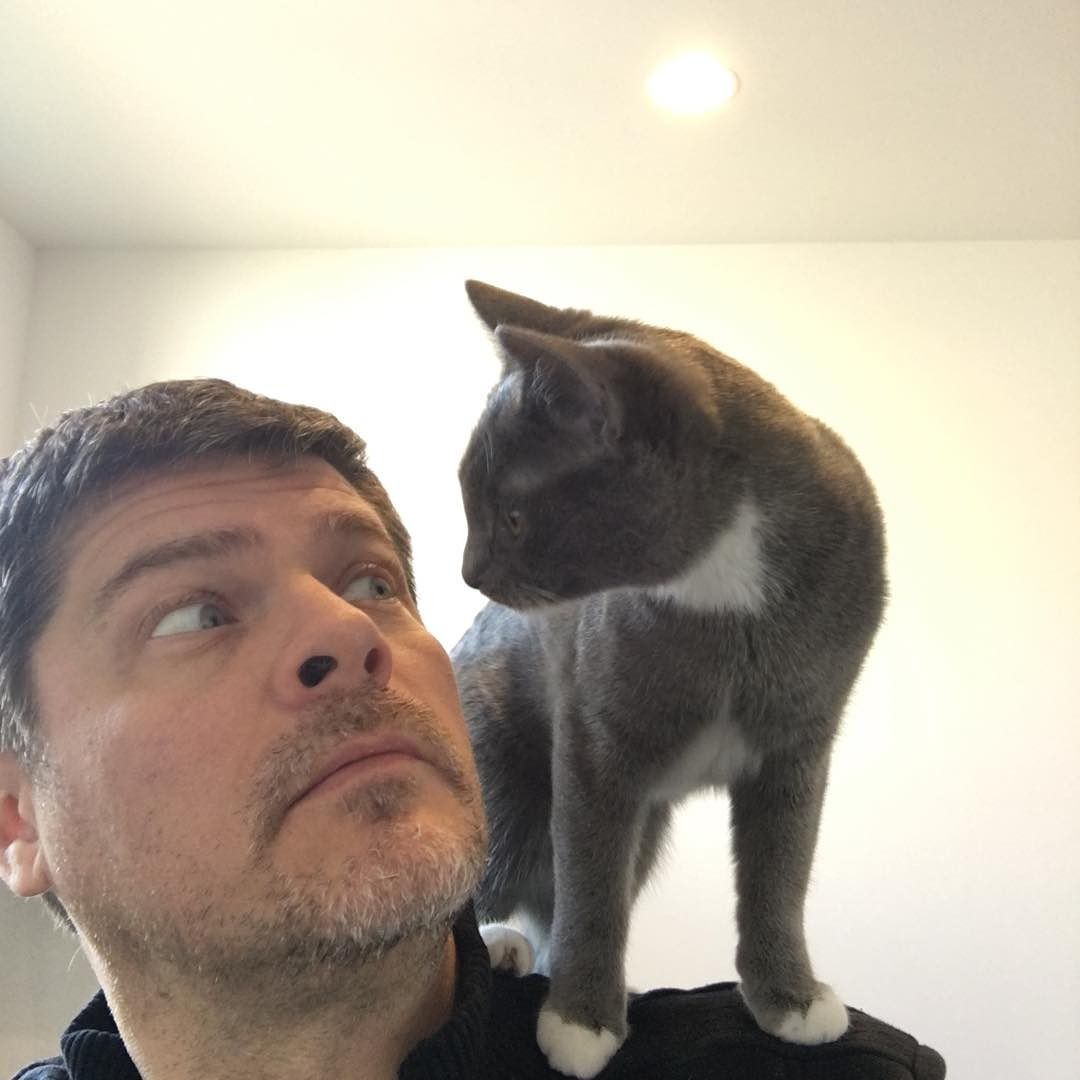 Why does this cat insist on sitting on my shoulder?