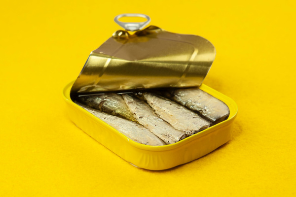 Can Cats Eat Sardines (and is the olive oil good for them)?