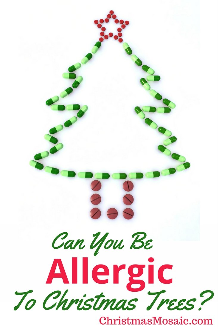Can You Be Allergic To Christmas Trees_  Christmas Mosaic