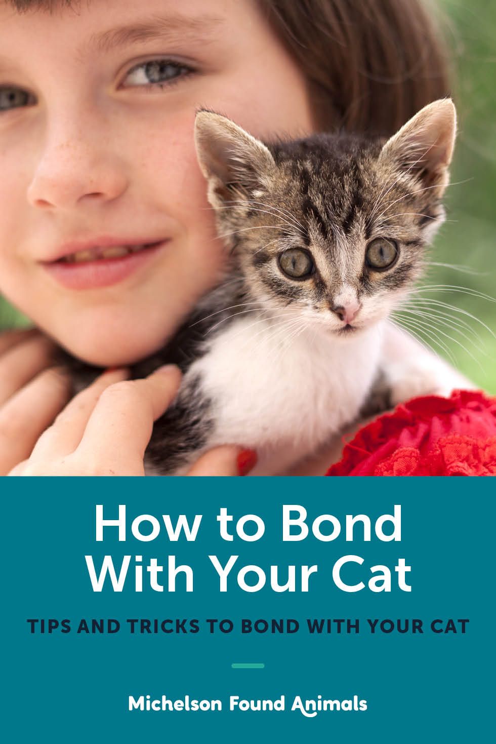 How to Bond With Your Cat