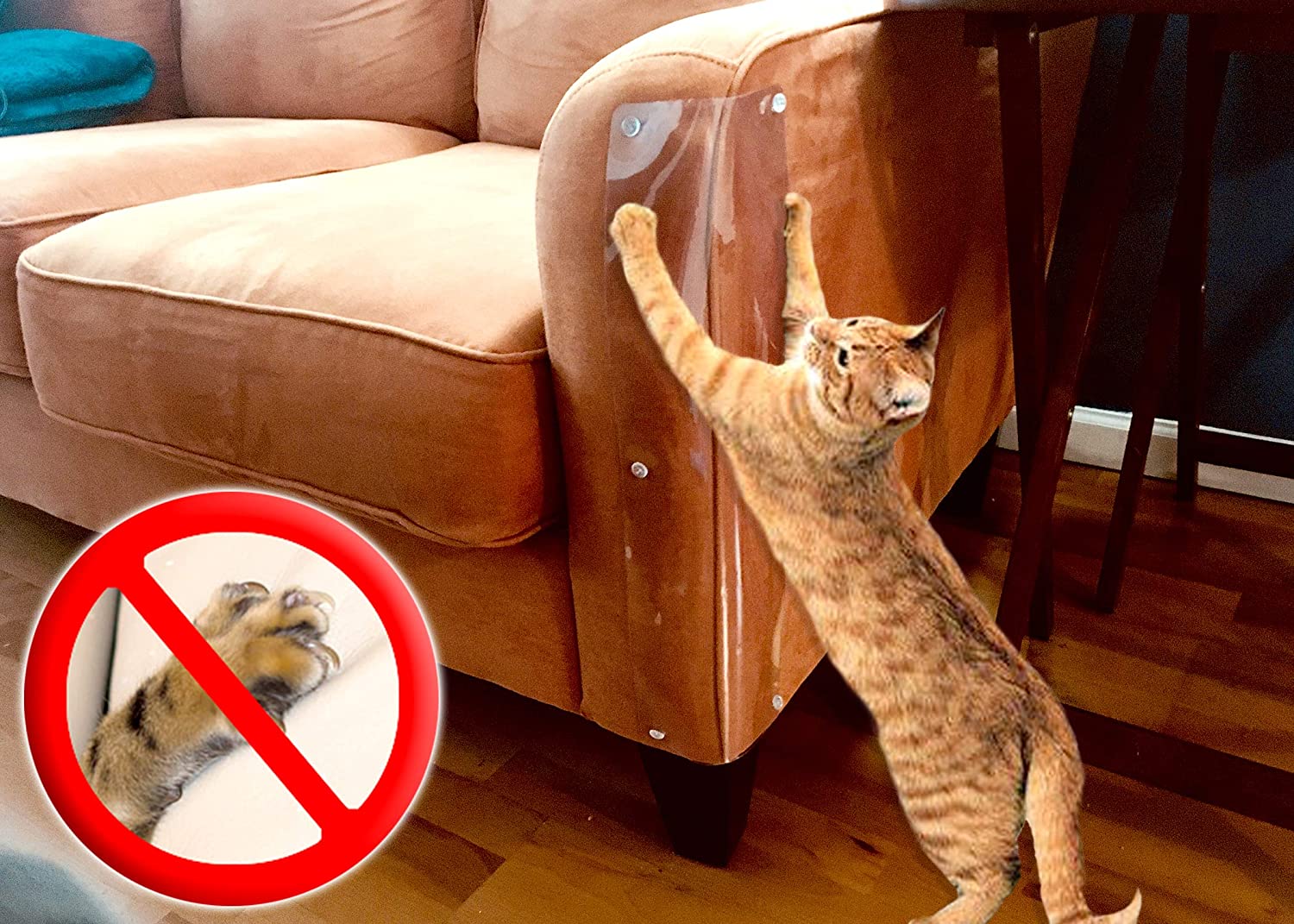 How To Keep Cats From Scratching Leather Furniture