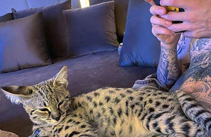 Justin Bieber Does Not Care What PETA Has To Say About His ...