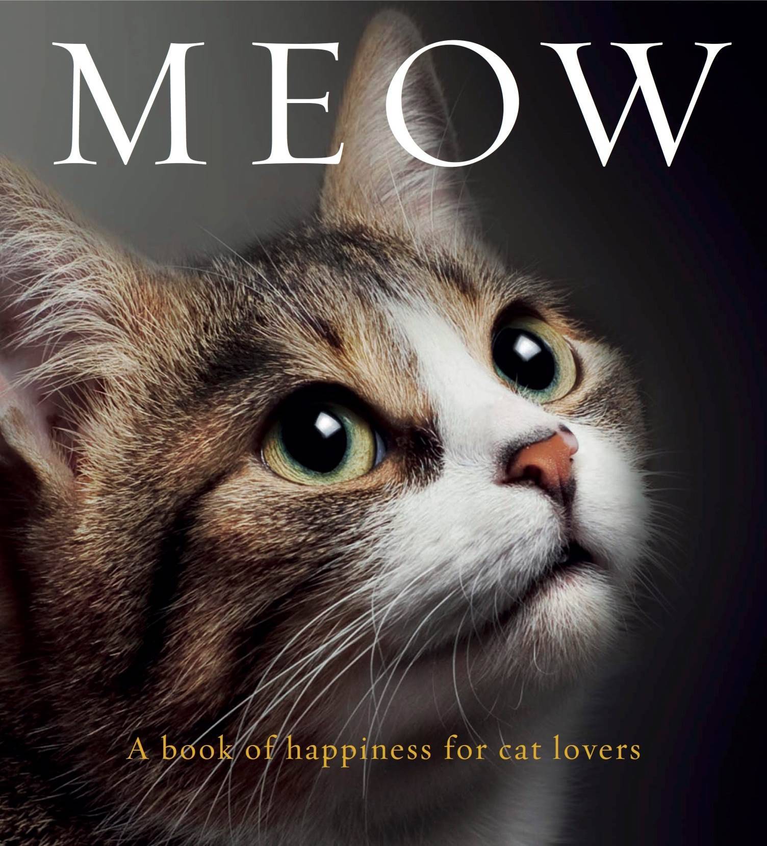 Mews: MEOW