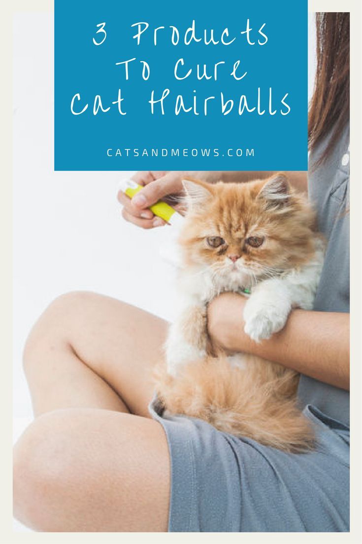 The 3 Best Products for Curing Cat Hairballs