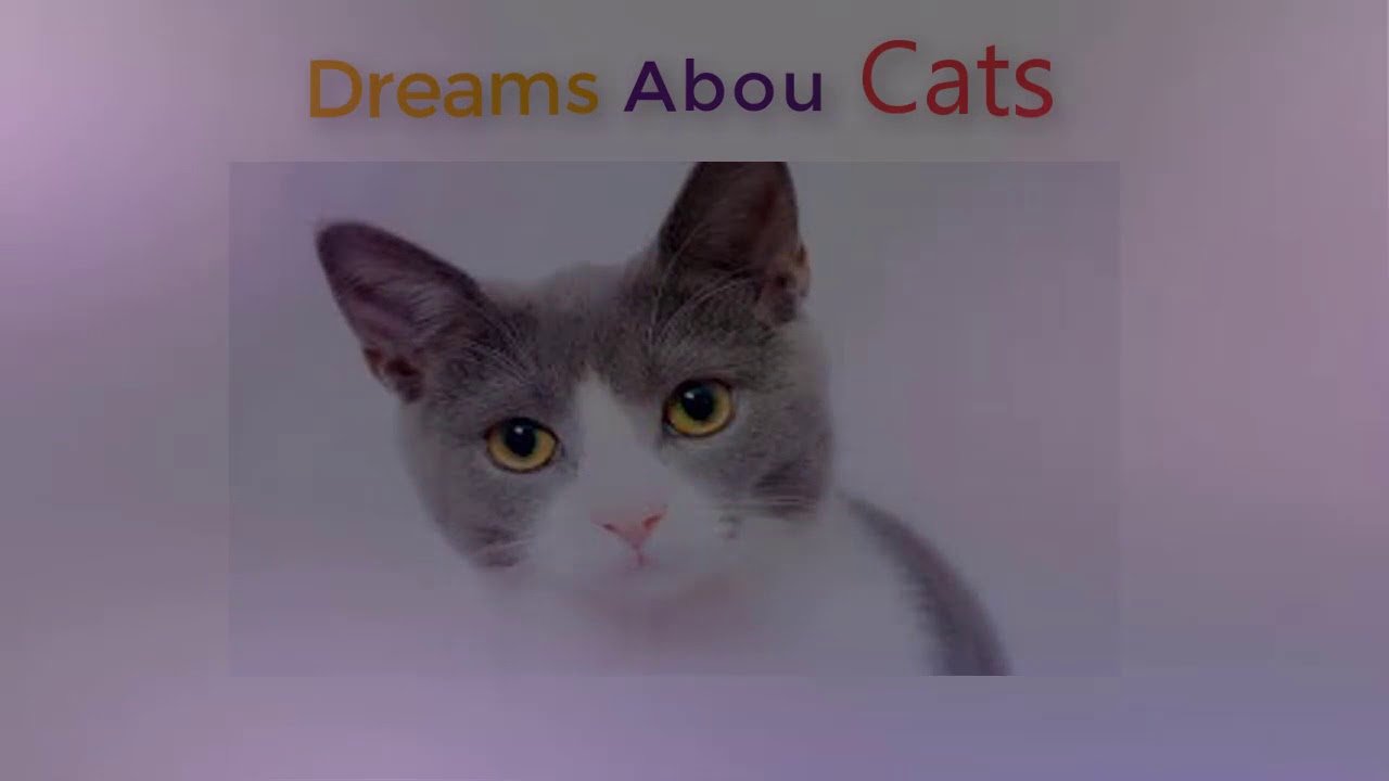 What is the meaning of cats in a dream