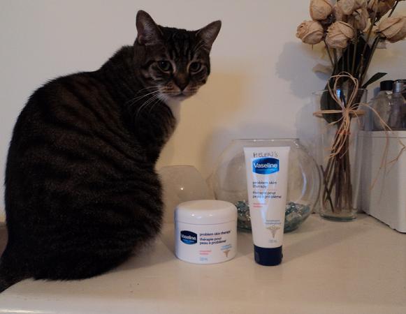 Can I Put Vaseline On My Cat Bum: Essential Insights ...