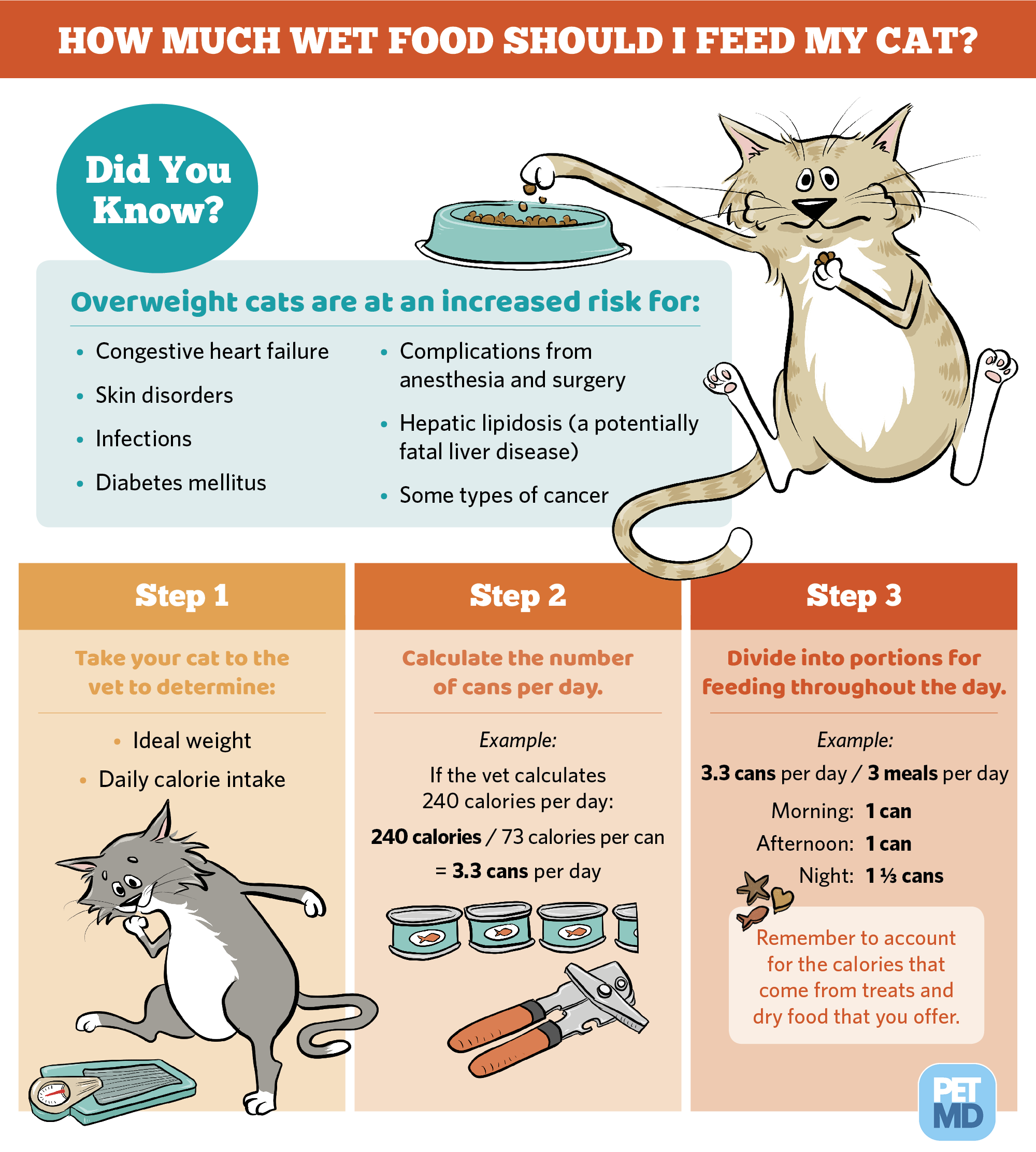 Cat Feeding Guide Dry