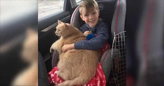 Mom Tells Boy He Can Pick Any Animal at Shelter. He Picked ...