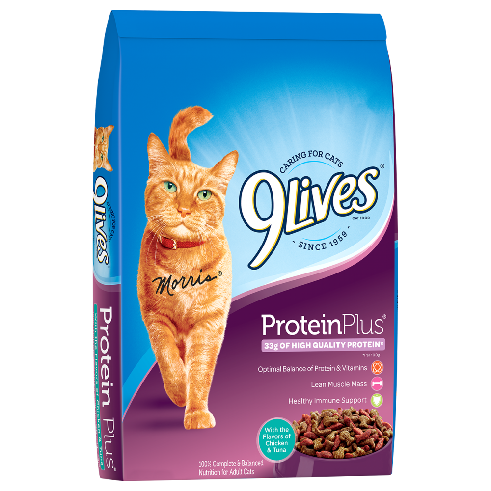 9 Lives Protein Plus Dry Cat Food  Clydes Feed