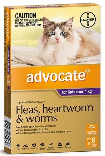 Advocate Flea Heartworm and Worm Treatment for Cats 4kg ...