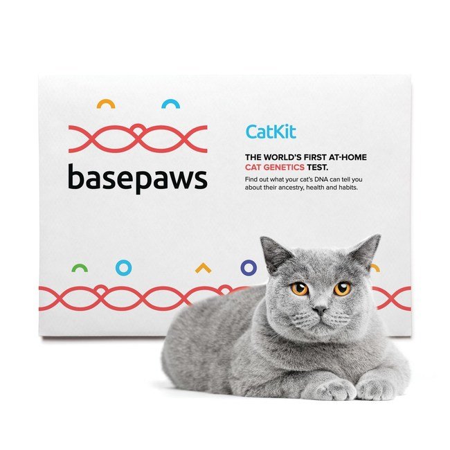 Cat DNA testing promises breed info and health insights ...