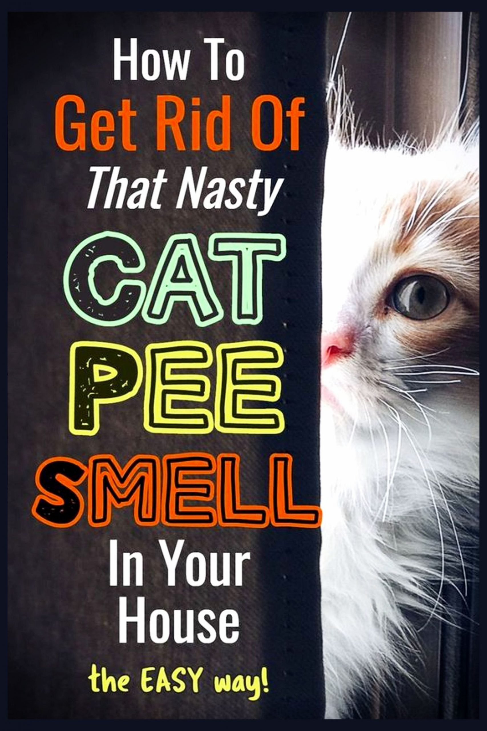 Cat Urine Stink? How To Get Rid Of Cat Pee Smell ...