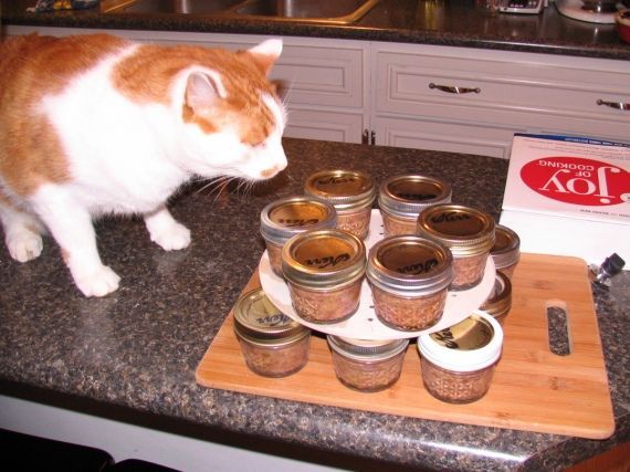 Cooking for Kitty: homemade canned cat food #diycatfood ...