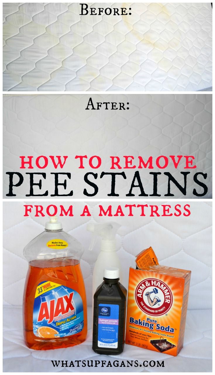 How to Easily Remove Old Pee Stain and Smell from a ...