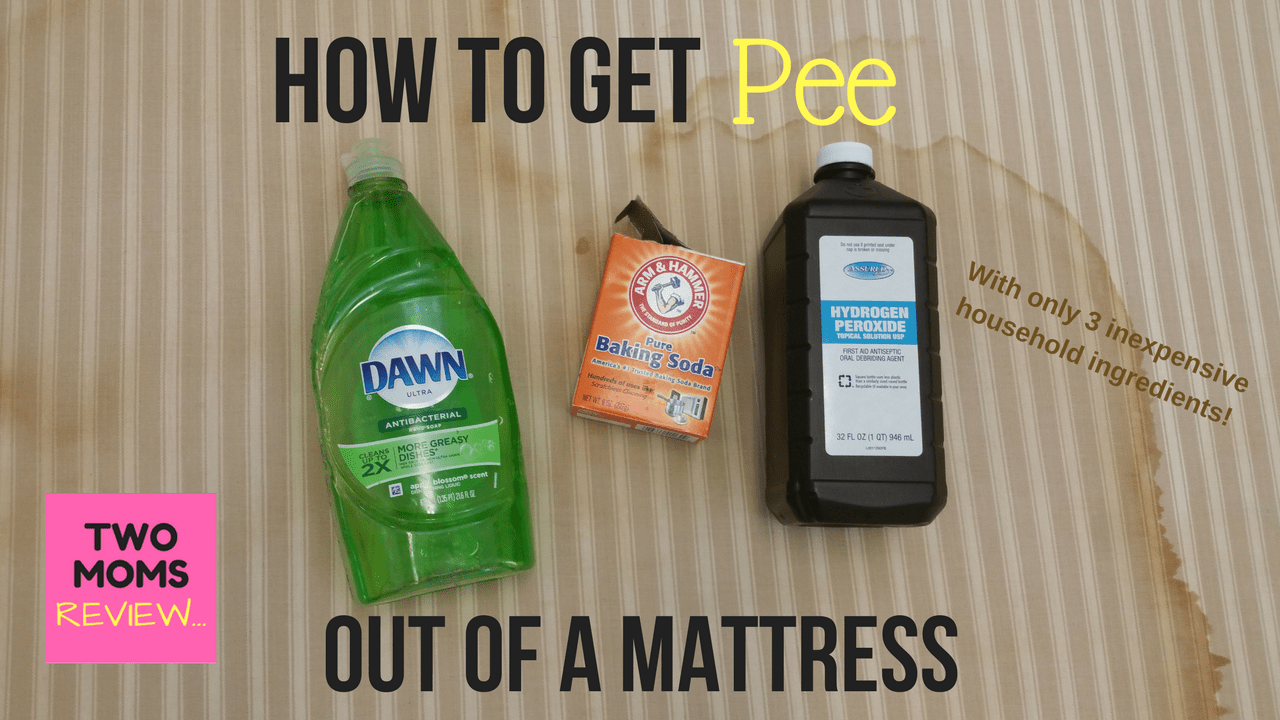 How To Get Cat Urine Out Of Bed Mattress