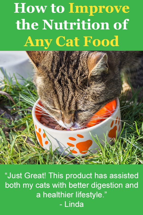 How to Improve the Nutrition of Any Cat Food