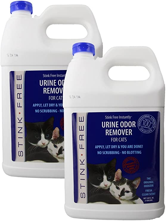 How To Remove Cat Urine Odor From Mattress