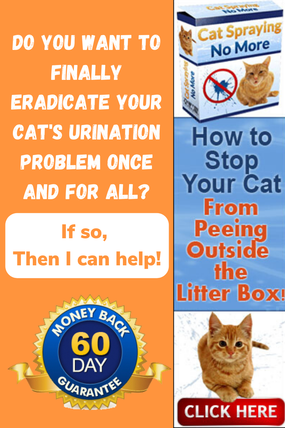 How to Stop a Cat Peeing Outside the Litter Box ...