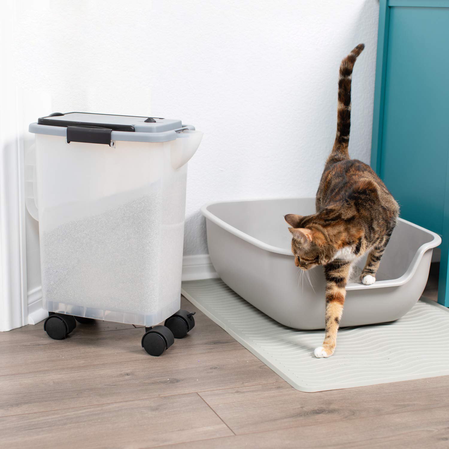 Need a better way to store clean cat litter? Check out the ...