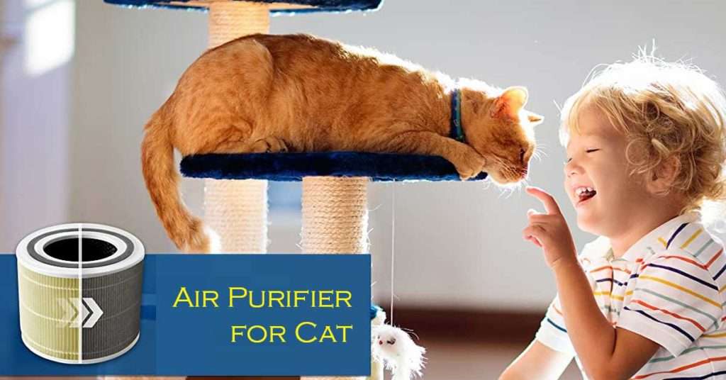 10 Best Air Purifiers for Cats (Hair, Dander, Allergy ...