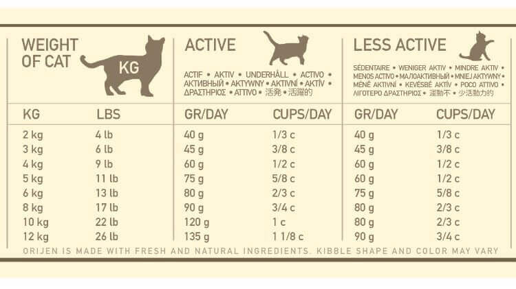 13 Facts On How Much Wet And Dry Food To Feed A Cat