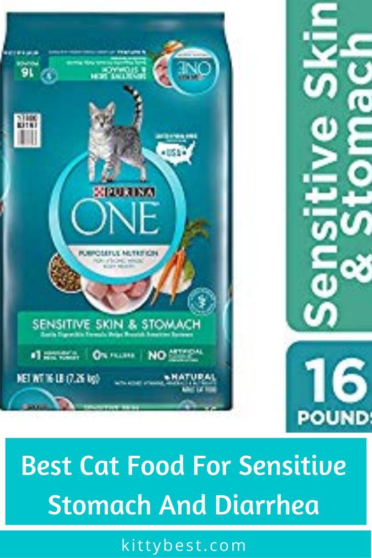 Best Cat Food For Sensitive Stomach And Diarrhoea