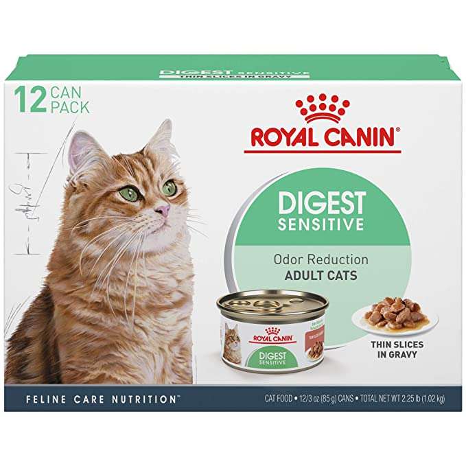 Cat Food Unleashed Top 10 Products To Prevent Vomiting In Your Feline Friend Furry Folly 9736