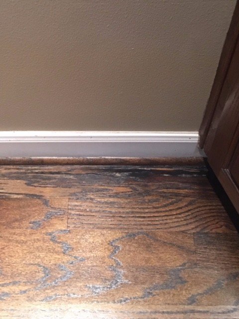Get Cat Pee Smell Out Of Hardwood Floor