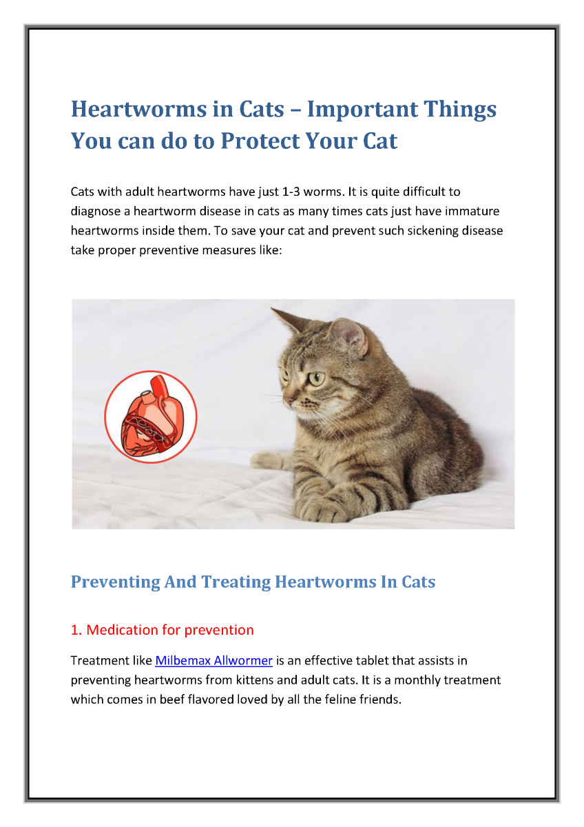 Heartworms in Cats  Important Things You Can Do to ...