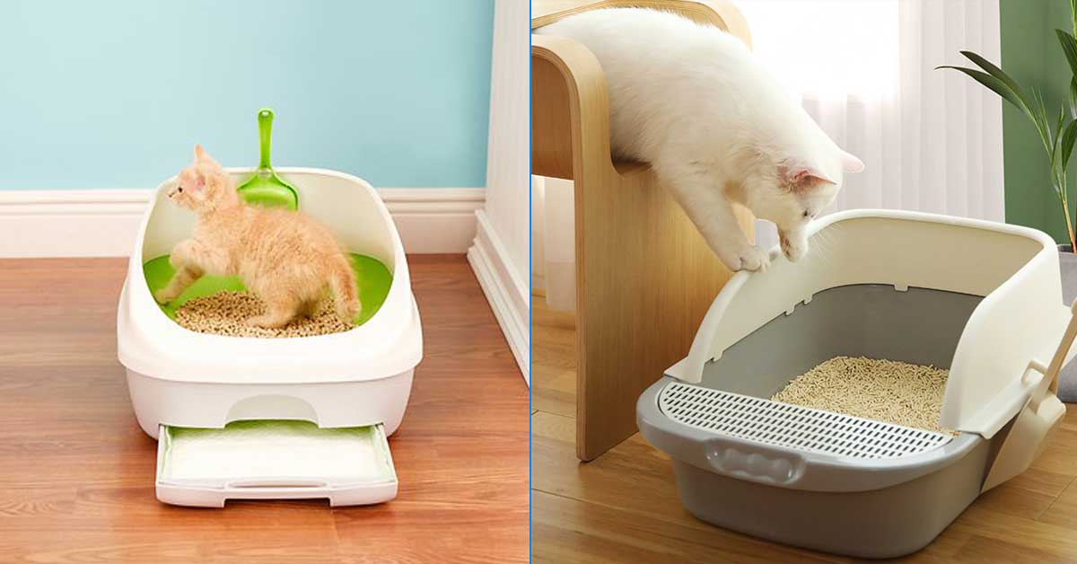 How much litter should you put in the litter box?
