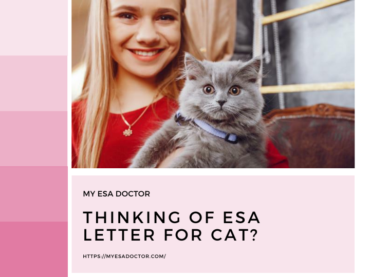 How To Get An Esa Letter For My Cat