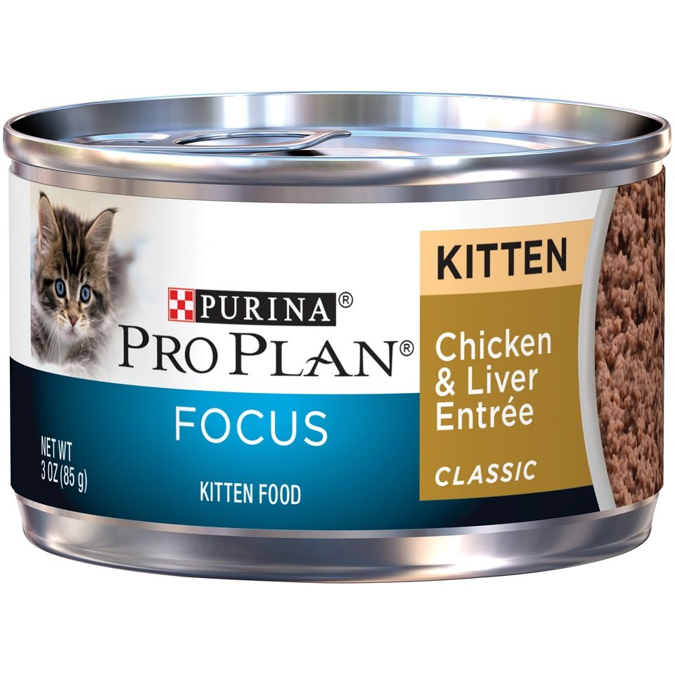 Purina Pro Plan Focus Kitten Classic Chicken and Liver ...