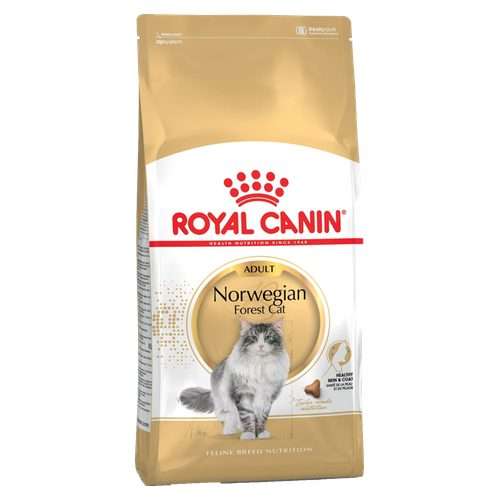 Royal Canin Adult Norwegian Forest Dry Cat Food, 2kg ...