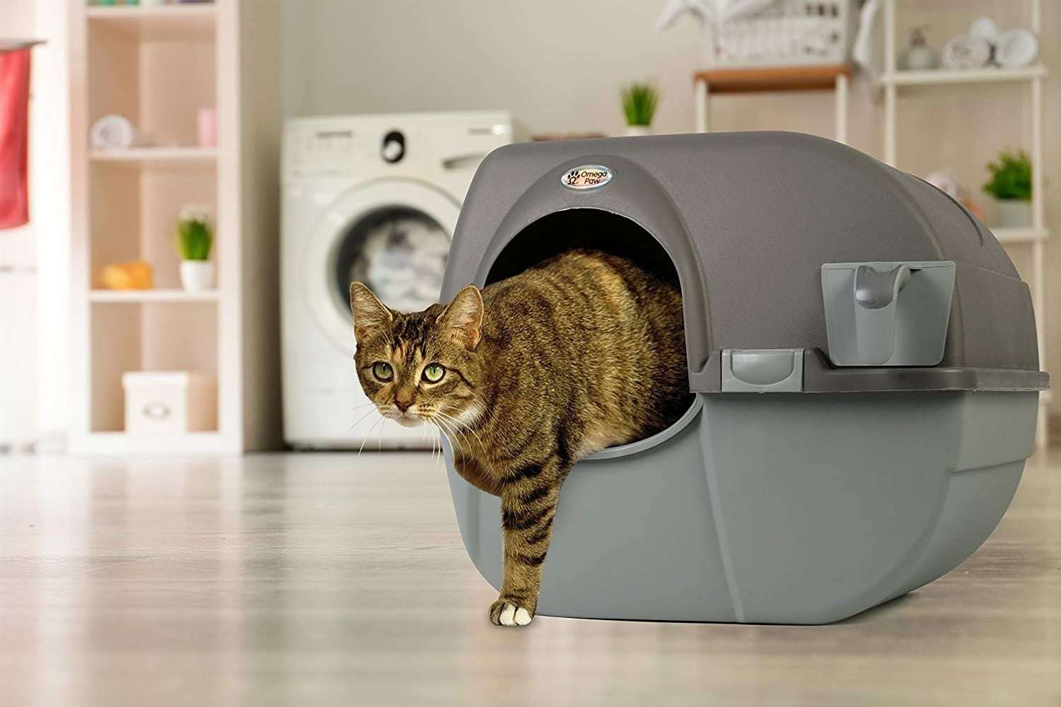 The Best Automatic Litter Box for Effortless Cleaning ...