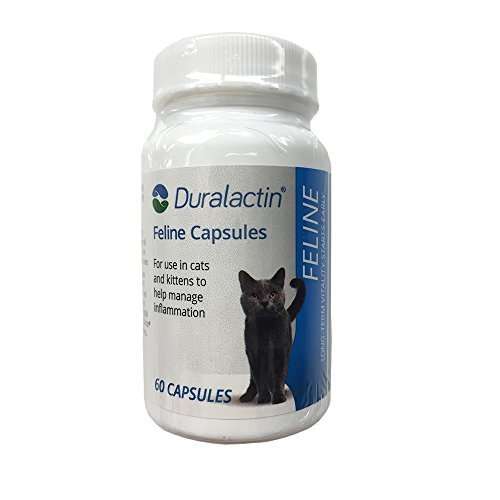 VPL Duralactin Feline Plus Fatty Acids 60 Soft Chews  Maercsi
