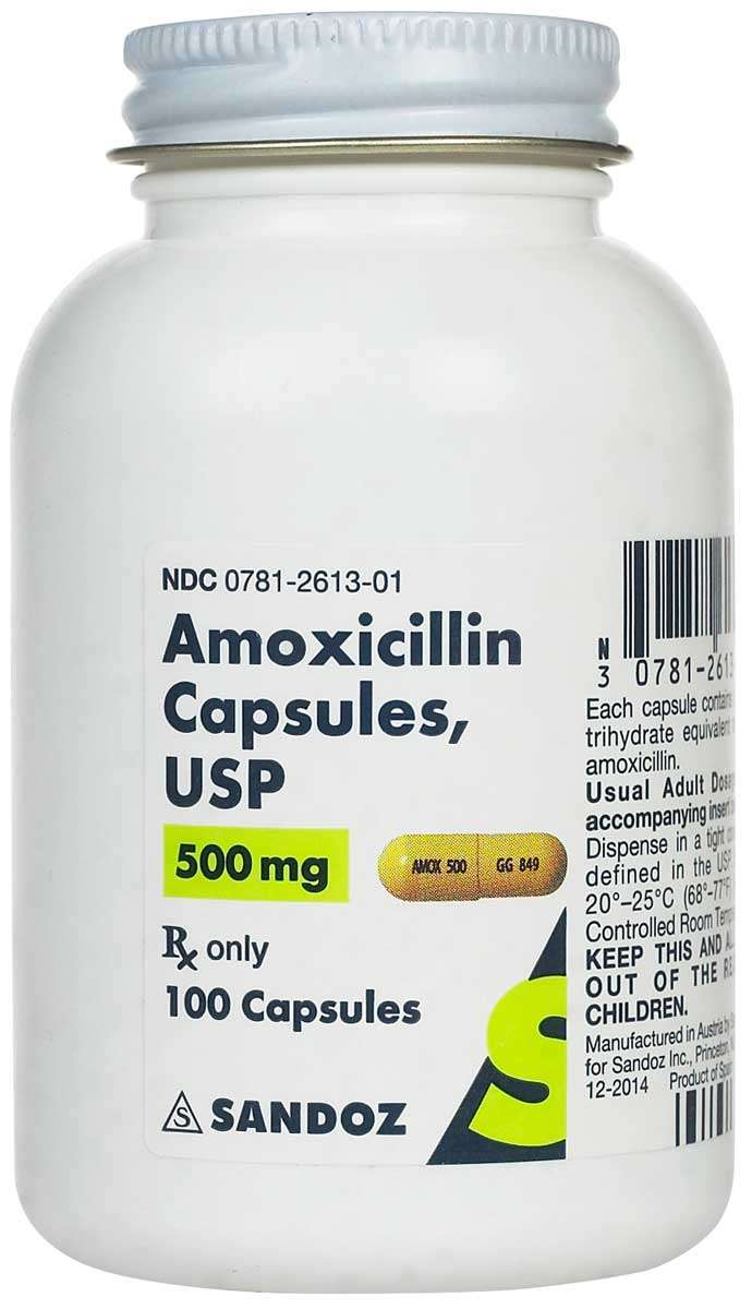 Amoxicillin for Dogs Cats Generic (brand may vary)