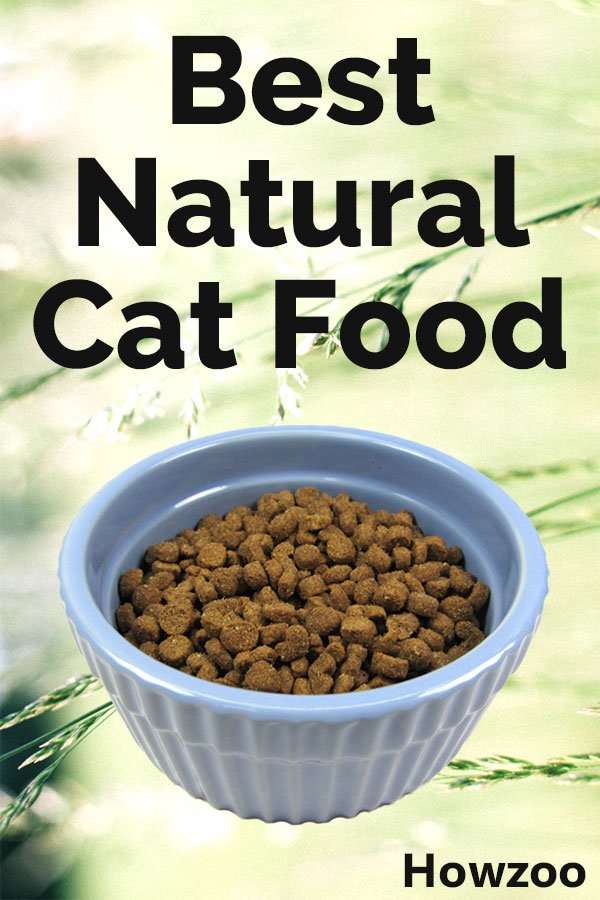Best Natural Cat Food