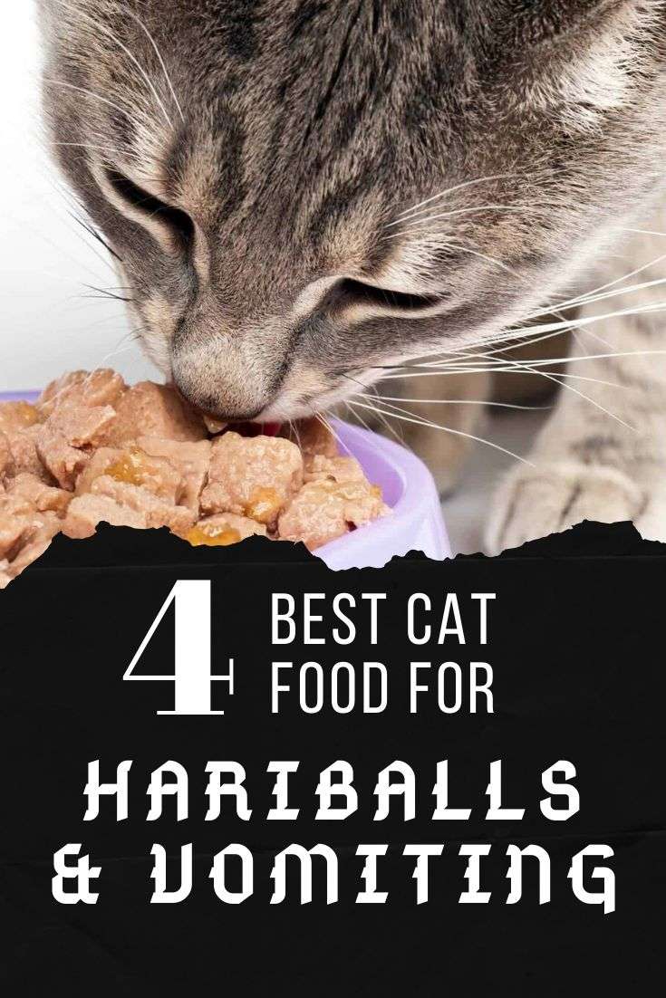 Best Wet &  Dry Cat food for Hairball prevention