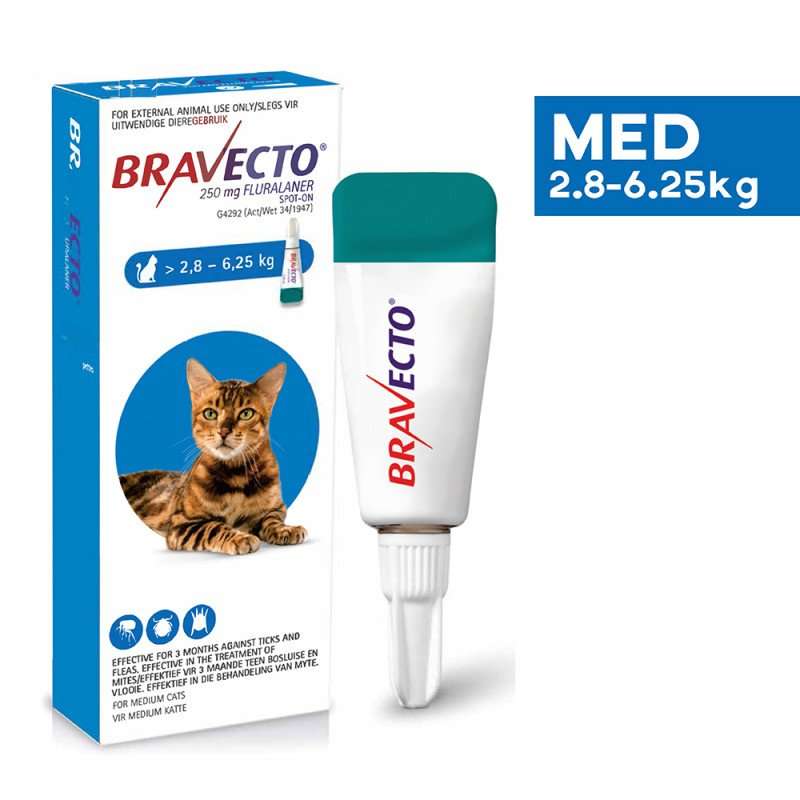 Buy Bravecto Tick &  Flea Spot On Treatment for Cats Online ...