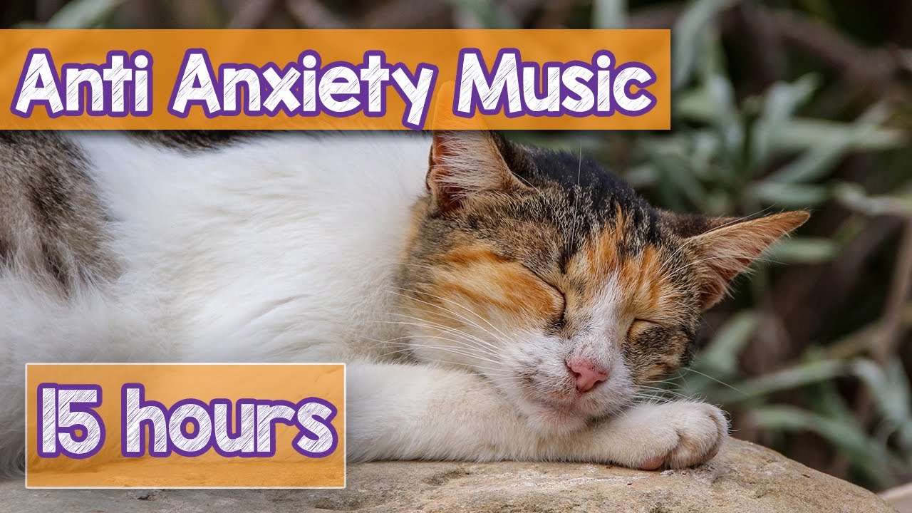 Calming Music for Cats with Anxiety