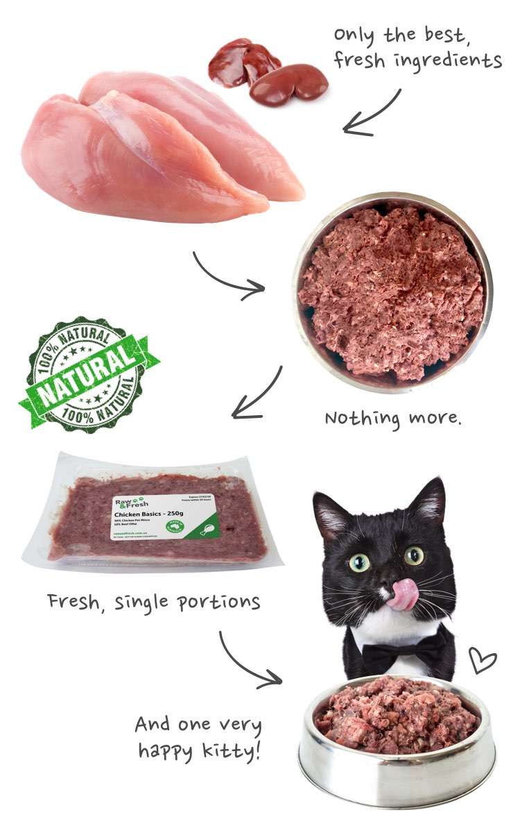 Chicken Basics Raw Cat Food