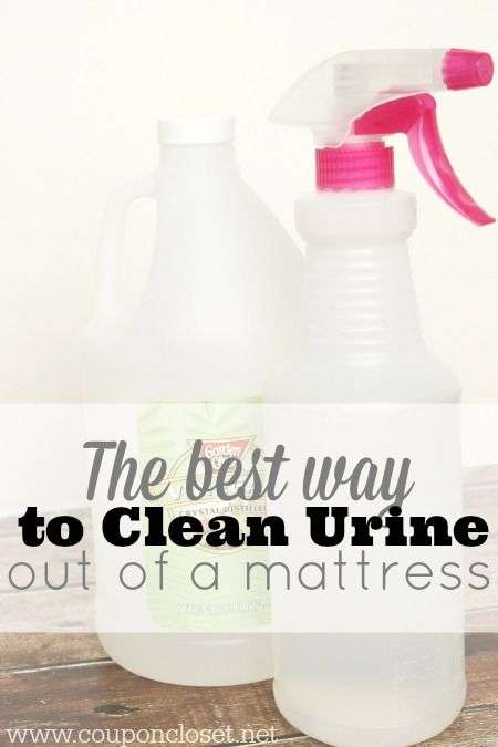 how to clean pee out of a mattress