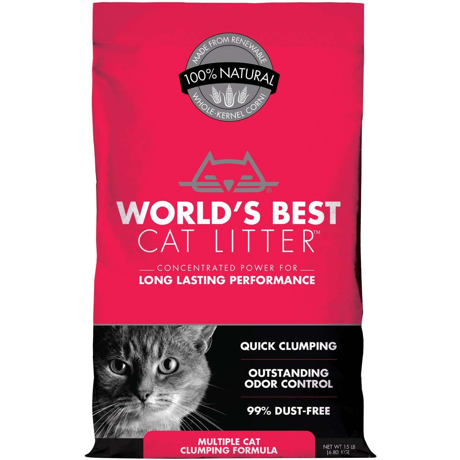 Best Cat Litter for Odor Control 2017